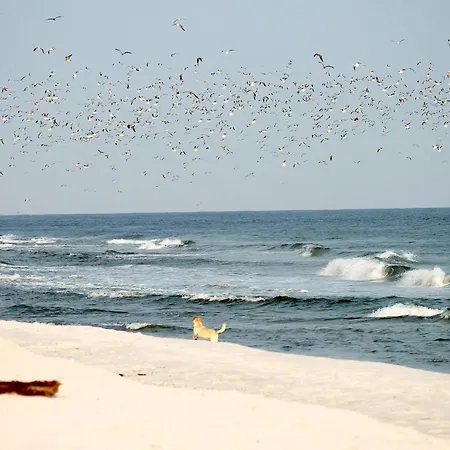 White Pearl 3.11 Тиммендорфер-Штранд