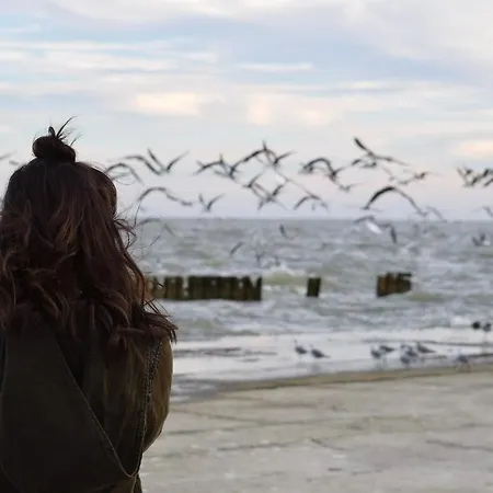 Апартаменты White Pearl 3.11 *