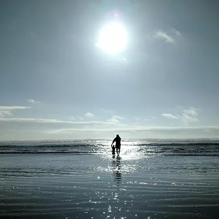 Апартаменты White Pearl 3.11 *